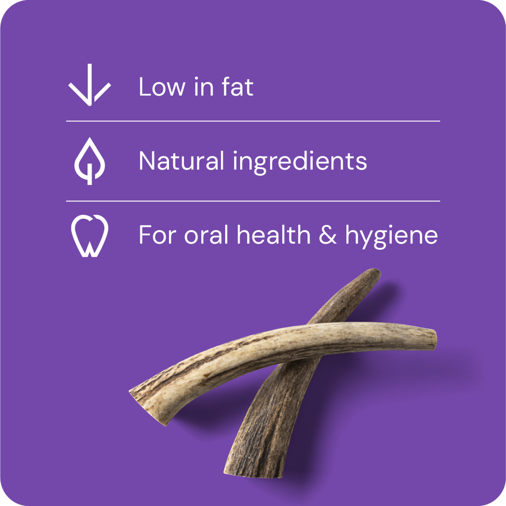 RAUH! by Nutriment - Deer Antler