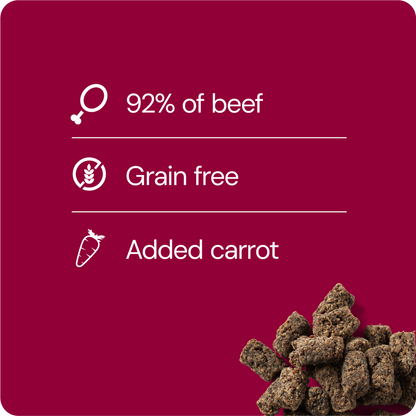 RAUH! by Nutriment - Dog Treat Freeze-dried Meatballs