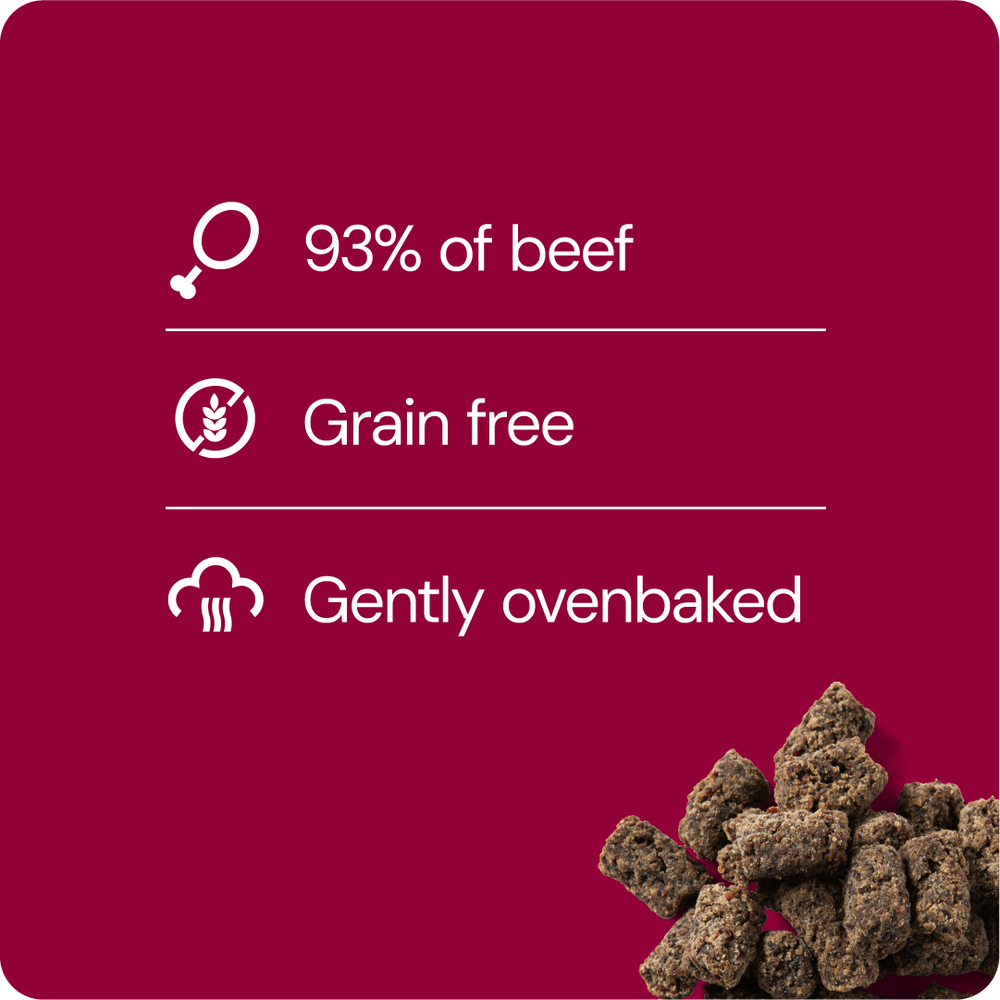 RAUH! by Nutriment - Dog Treat Liver