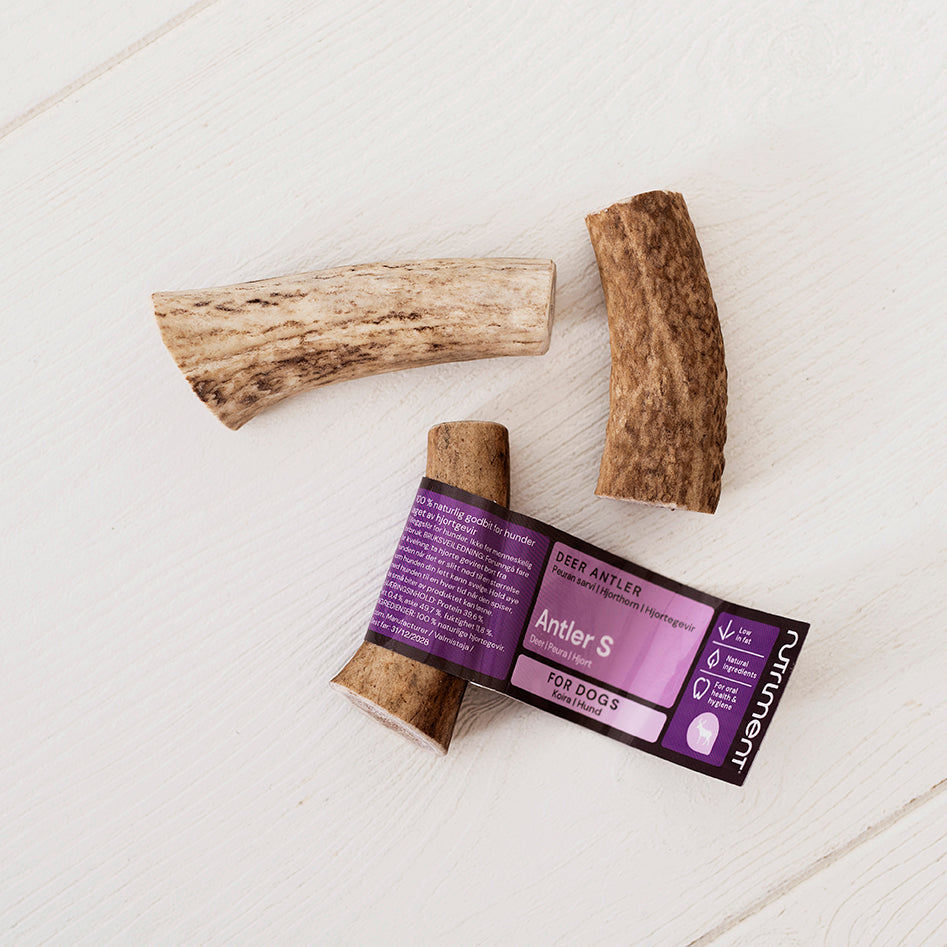 RAUH! by Nutriment - Deer Antler