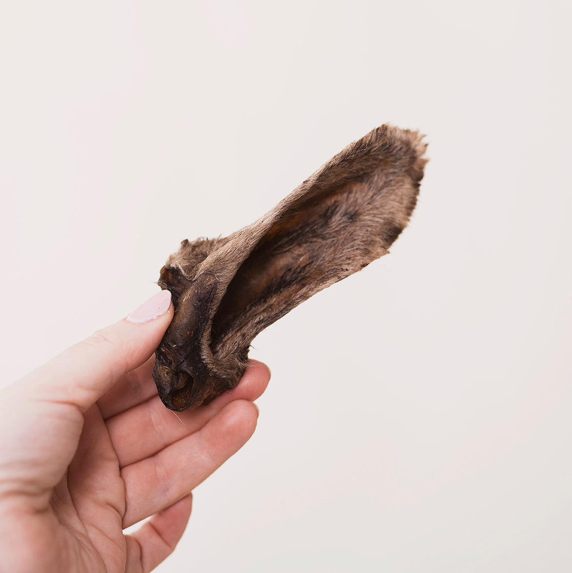 Emmzo - Lamb Ear with Fur