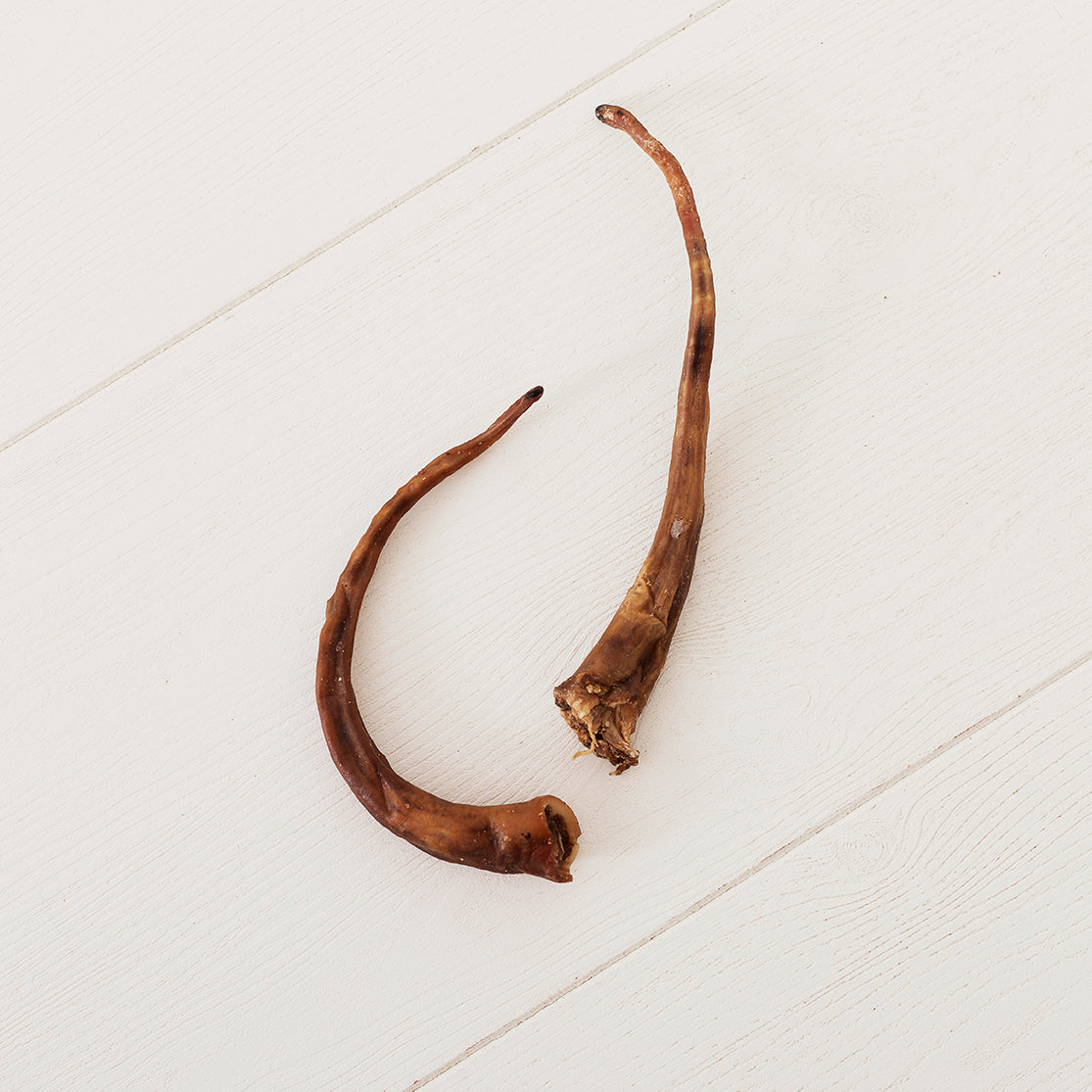 TassaFritt - Pig Tail