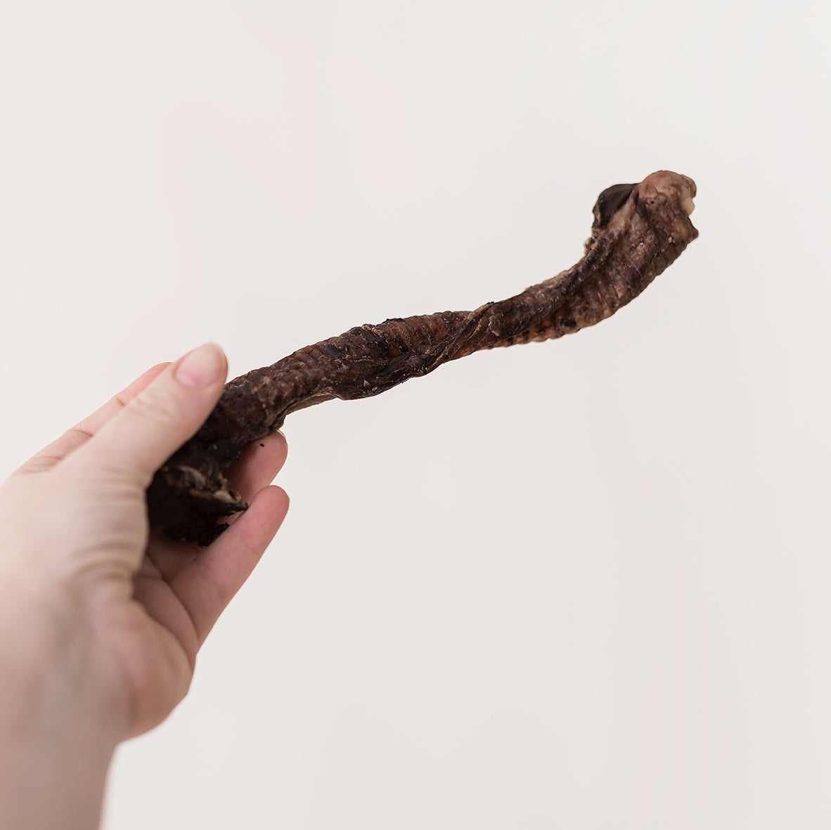 Emmzo - Lamb Gullet