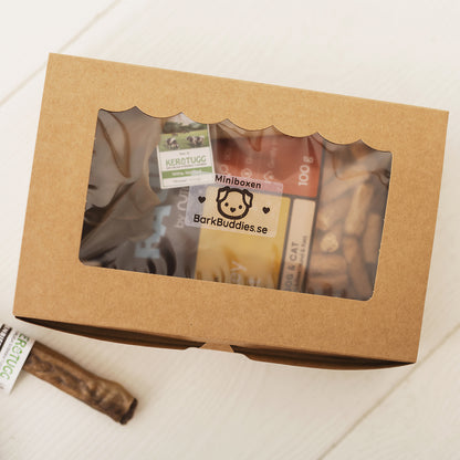 Minibox – Small Bites, Big Flavors!