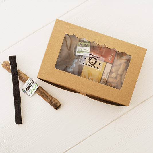 Minibox – Small Bites, Big Flavors!