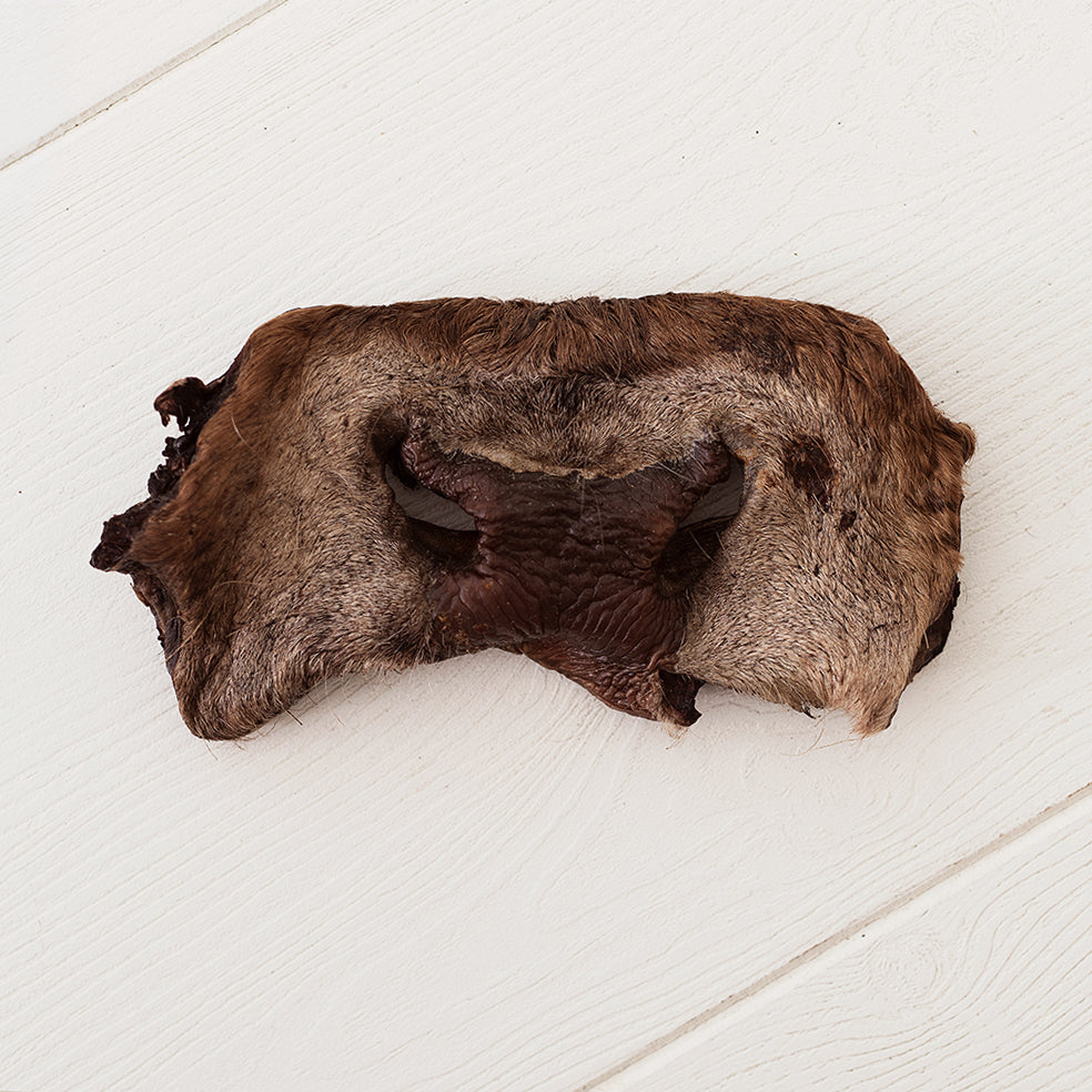 Emmzo - Ox muzzle with fur