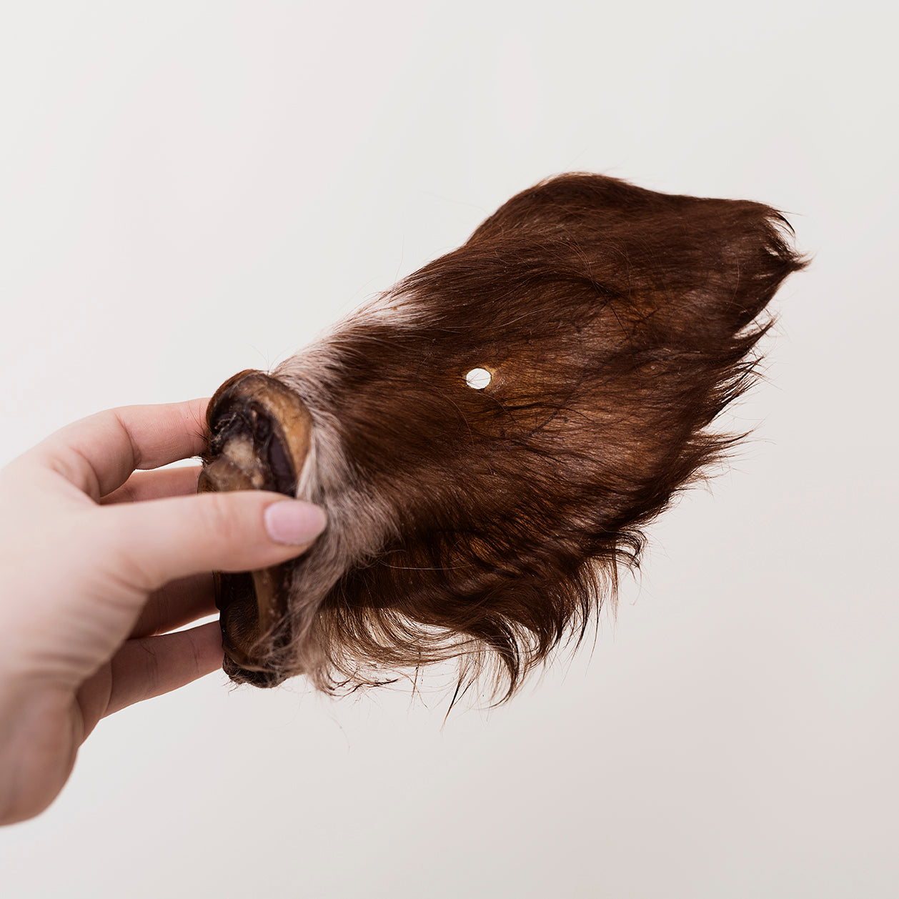 Emmzo - Ox ear with fur