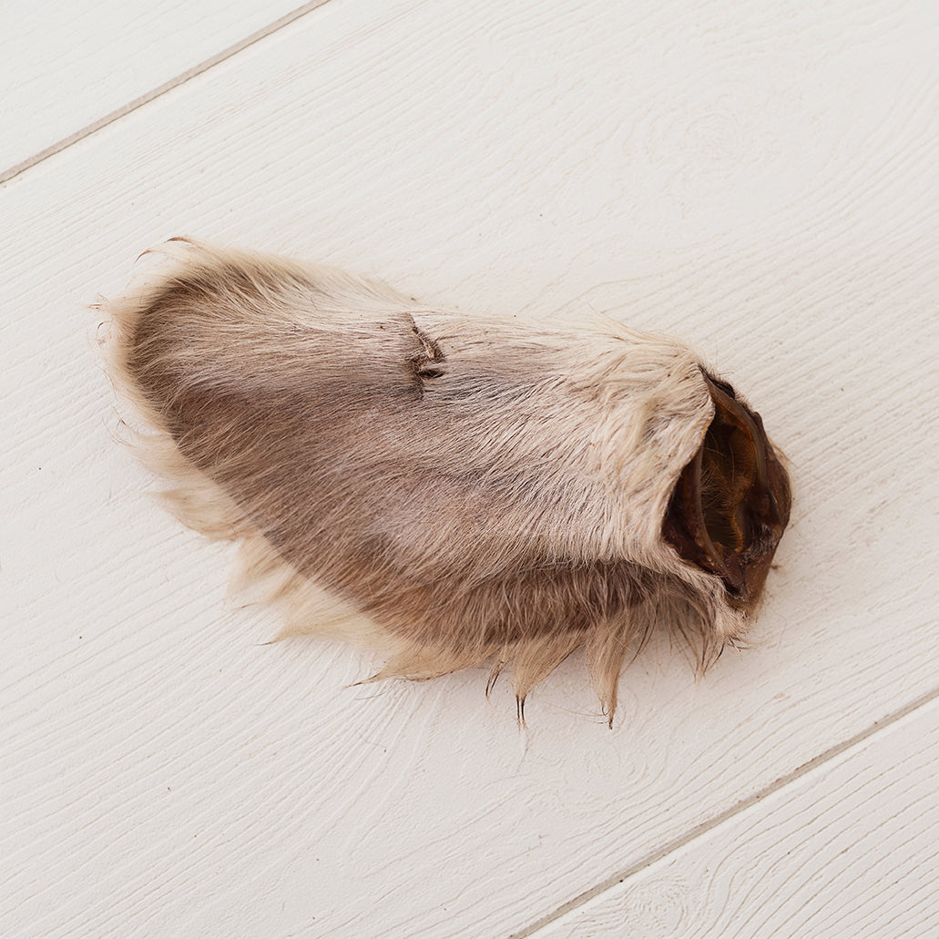 Emmzo - Ox ear with fur