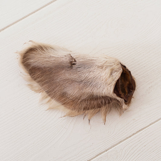 Emmzo - Ox ear with fur