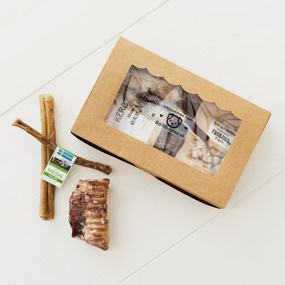 Puppy Box - Welcome Home